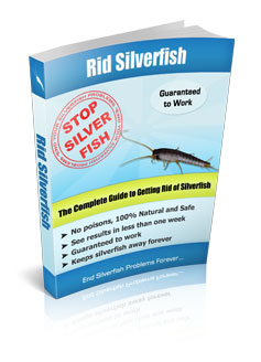 Get Rid of Silverfish